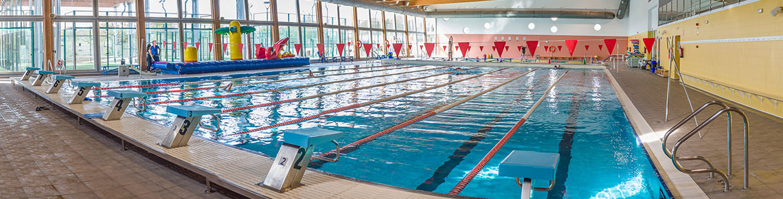 Piscina Municipal des Viver