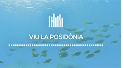 viu la posidonia